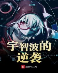 宇智波的斩魄刀小说